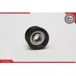 Poulie roue libre, alternateur ESEN SKV 11SKV052 - Visuel 3