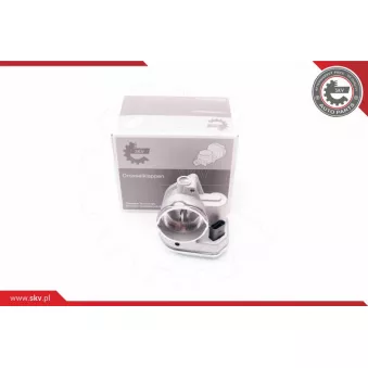 Corps papillon ESEN SKV 12SKV055
