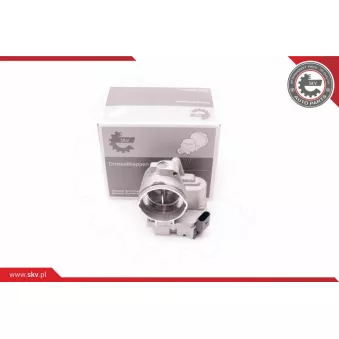 Corps papillon ESEN SKV 12SKV061