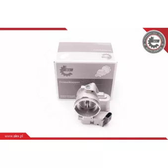 Corps papillon ESEN SKV 12SKV062