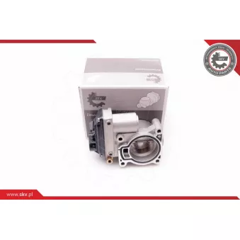 Corps papillon ESEN SKV 12SKV069