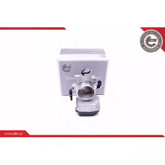 Corps papillon ESEN SKV 12SKV071
