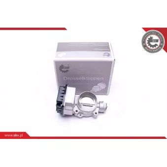 Corps papillon ESEN SKV 12SKV072