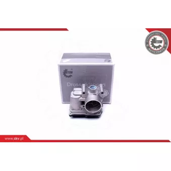 Corps papillon ESEN SKV 12SKV076