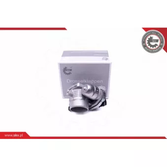 Corps papillon ESEN SKV 12SKV079