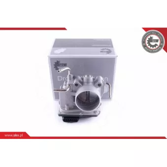 Corps papillon ESEN SKV 12SKV099