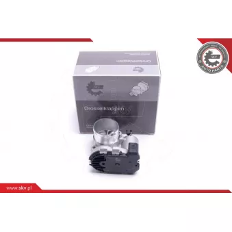 Corps papillon ESEN SKV 12SKV111