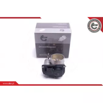 Corps papillon ESEN SKV 12SKV122