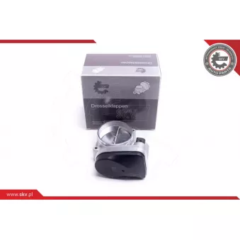 Corps papillon ESEN SKV 12SKV123