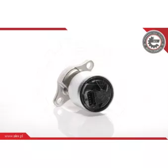 Vanne EGR ESEN SKV 14SKV035