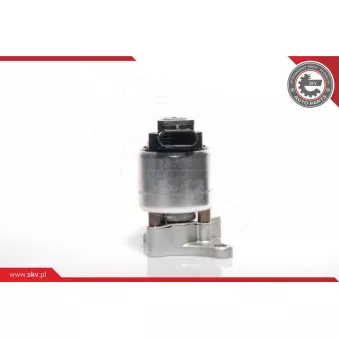 Vanne EGR ESEN SKV 14SKV041