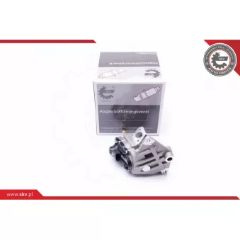Vanne EGR ESEN SKV 14SKV087