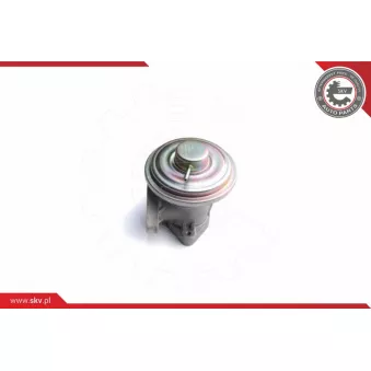 Vanne EGR ESEN SKV 14SKV098