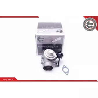 Vanne EGR ESEN SKV 14SKV106