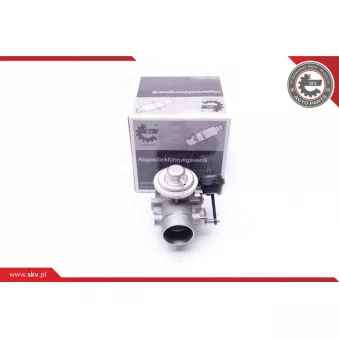 Vanne EGR ESEN SKV 14SKV107