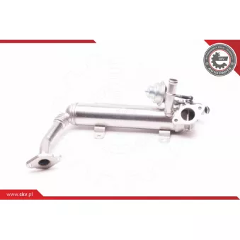 Vanne EGR ESEN SKV 14SKV118
