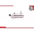 Radiateur, réaspiration des gaz d'échappement ESEN SKV 14SKV124 - Visuel 1