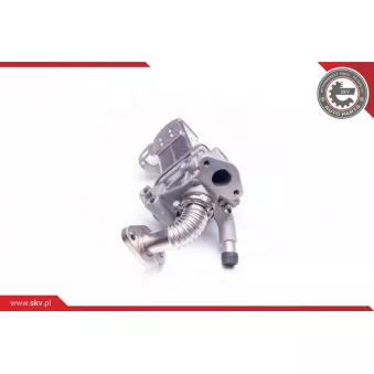 Module-EGR ESEN SKV 14SKV135
