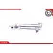 Radiateur, réaspiration des gaz d'échappement ESEN SKV 14SKV143 - Visuel 3