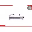 Radiateur, réaspiration des gaz d'échappement ESEN SKV 14SKV146 - Visuel 1