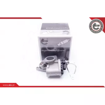 Vanne EGR ESEN SKV 14SKV168