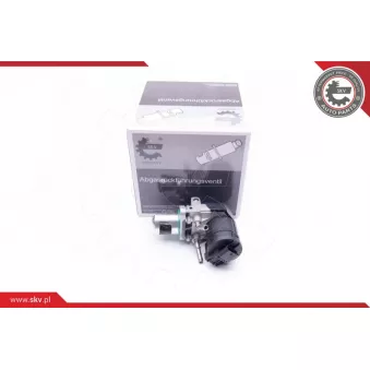 Vanne EGR ESEN SKV 14SKV169