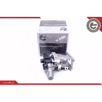 Vanne EGR ESEN SKV 14SKV171
