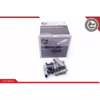 Vanne EGR ESEN SKV 14SKV173
