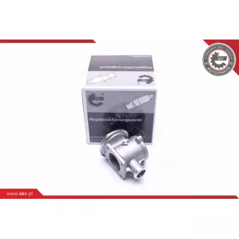 Vanne EGR ESEN SKV 14SKV178