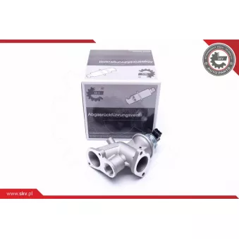 Vanne EGR ESEN SKV 14SKV181