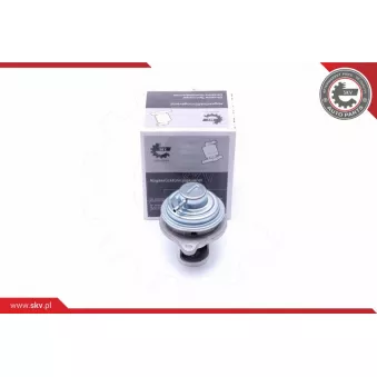 Vanne EGR ESEN SKV 14SKV182