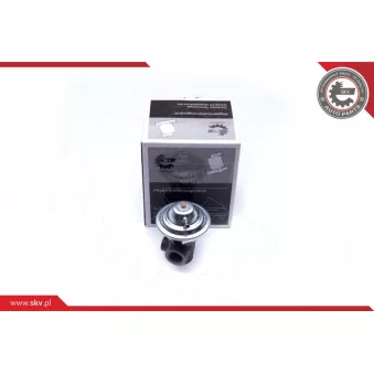 Vanne EGR ESEN SKV 14SKV187