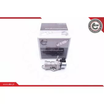 Vanne EGR ESEN SKV 14SKV188