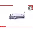 Radiateur, réaspiration des gaz d'échappement ESEN SKV 14SKV191 - Visuel 1
