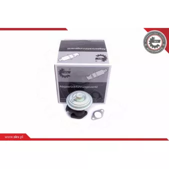 Vanne EGR ESEN SKV 14SKV203