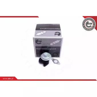 Vanne EGR ESEN SKV 14SKV205
