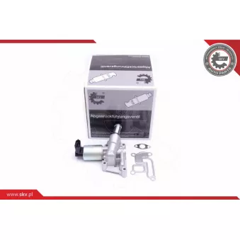 Vanne EGR ESEN SKV 14SKV207