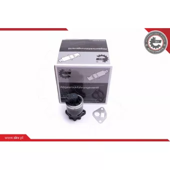 Vanne EGR ESEN SKV 14SKV210