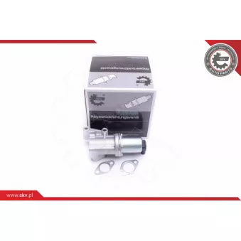 Vanne EGR ESEN SKV 14SKV211