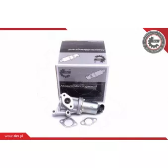 Vanne EGR ESEN SKV 14SKV213