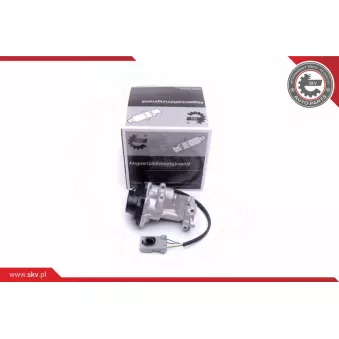 Vanne EGR ESEN SKV 14SKV216