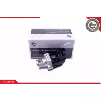 Vanne EGR ESEN SKV 14SKV217