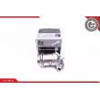 Radiateur, réaspiration des gaz d'échappement ESEN SKV 14SKV219 - Visuel 1