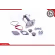 Kit de réparation, module de tube d'aspiration ESEN SKV 14SKV513 - Visuel 2