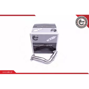 Tuyauterie, vanne EGR ESEN SKV 14SKV714