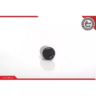 Pompe d'eau de nettoyage, nettoyage des vitres ESEN SKV 15SKV002