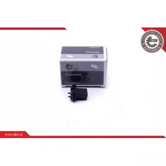 Interrupteur, serrure de coffre ESEN SKV 16SKV278