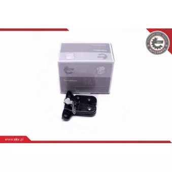 Serrure de hayon ESEN SKV 16SKV351