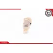 Serrure de porte arrière droit ESEN SKV 16SKV494 - Visuel 2