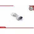 Capteur d'angle, vilebrequin ESEN SKV 17SKV272 - Visuel 3